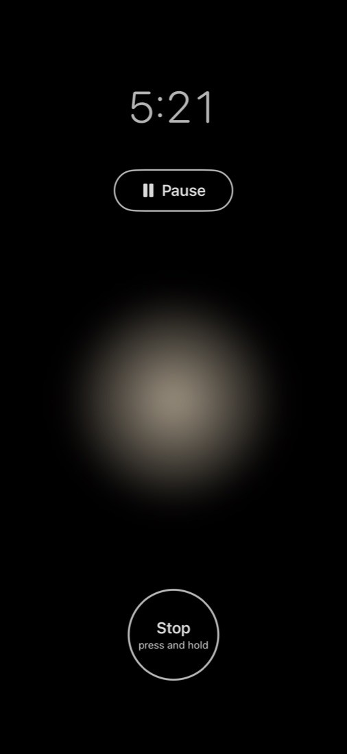 Herzruhe session: a soft circle of light on a black screen, the remaining time, a Pause button and a Stop button